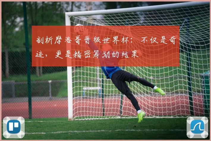 剖析摩洛哥晋级世界杯：不仅是奇迹，更是精密筹划的结果